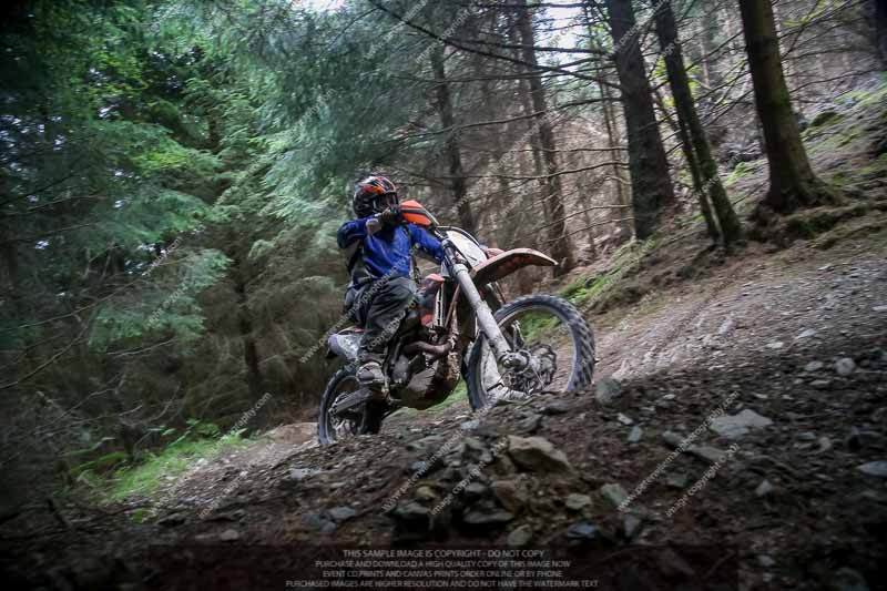 enduro digital images;enduro photos;eventdigitalimages;llandrindod wells;no limits trackdays;peter wileman photography;trackday digital images;wales;welsh 2 day enduro