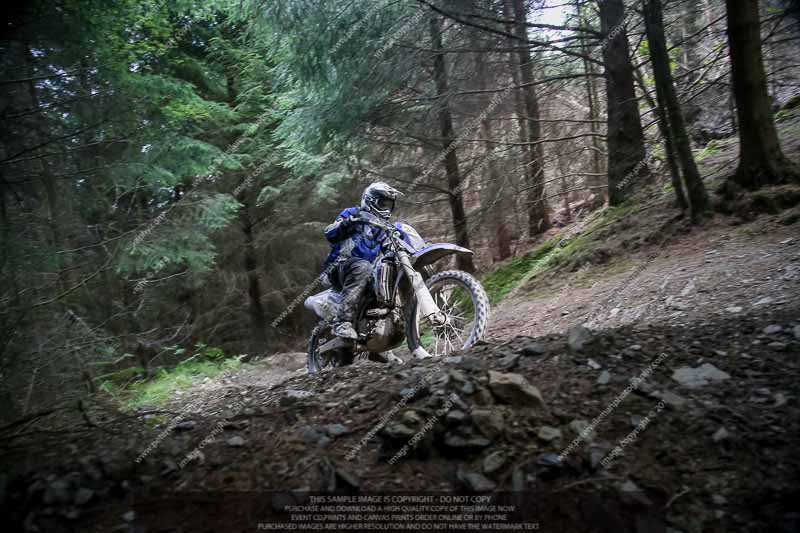 enduro digital images;enduro photos;eventdigitalimages;llandrindod wells;no limits trackdays;peter wileman photography;trackday digital images;wales;welsh 2 day enduro