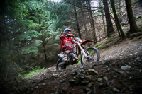 enduro-digital-images;enduro-photos;eventdigitalimages;llandrindod-wells;no-limits-trackdays;peter-wileman-photography;trackday-digital-images;wales;welsh-2-day-enduro