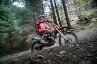 enduro-digital-images;enduro-photos;eventdigitalimages;llandrindod-wells;no-limits-trackdays;peter-wileman-photography;trackday-digital-images;wales;welsh-2-day-enduro