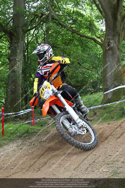 enduro digital images;enduro photos;eventdigitalimages;llandrindod wells;no limits trackdays;peter wileman photography;trackday digital images;wales;welsh 2 day enduro