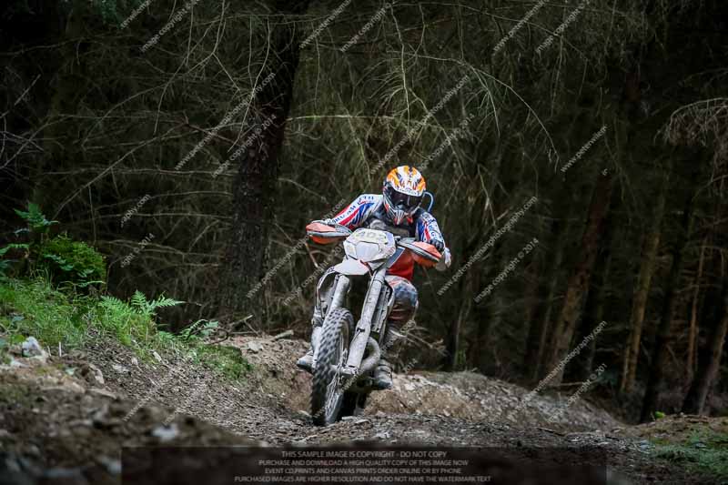 enduro digital images;enduro photos;eventdigitalimages;llandrindod wells;no limits trackdays;peter wileman photography;trackday digital images;wales;welsh 2 day enduro