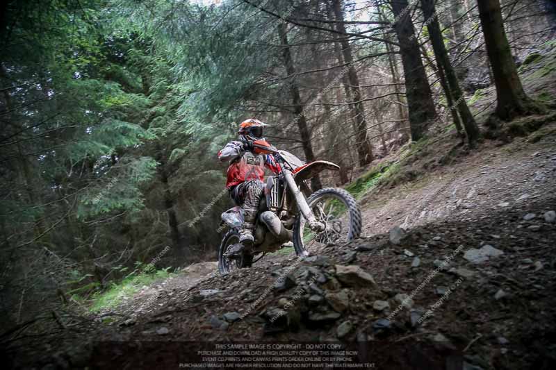 enduro digital images;enduro photos;eventdigitalimages;llandrindod wells;no limits trackdays;peter wileman photography;trackday digital images;wales;welsh 2 day enduro