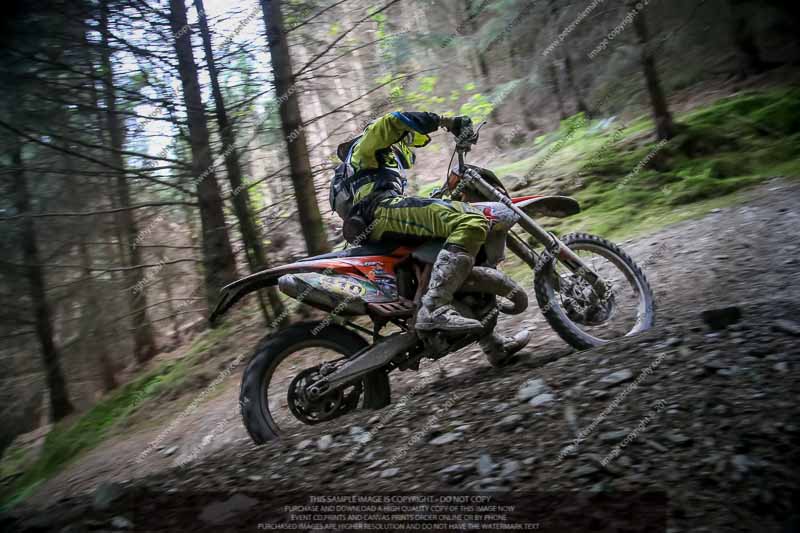 enduro digital images;enduro photos;eventdigitalimages;llandrindod wells;no limits trackdays;peter wileman photography;trackday digital images;wales;welsh 2 day enduro