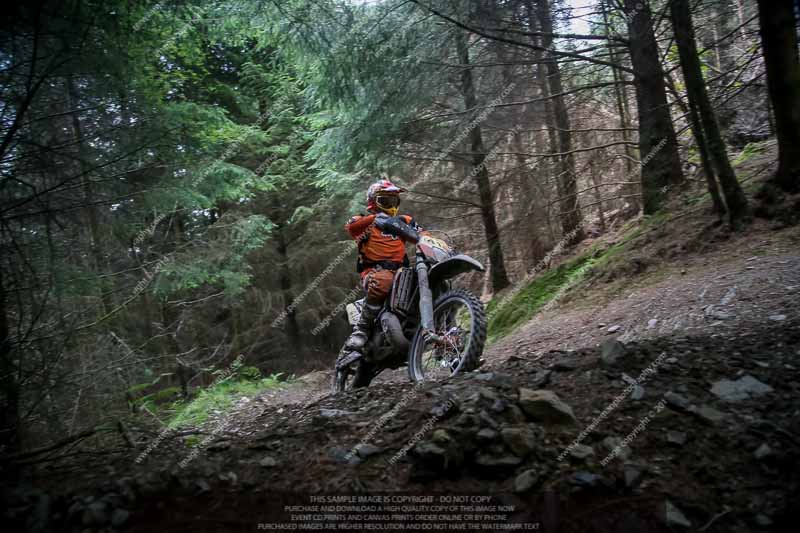 enduro digital images;enduro photos;eventdigitalimages;llandrindod wells;no limits trackdays;peter wileman photography;trackday digital images;wales;welsh 2 day enduro