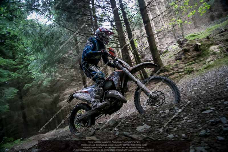 enduro digital images;enduro photos;eventdigitalimages;llandrindod wells;no limits trackdays;peter wileman photography;trackday digital images;wales;welsh 2 day enduro