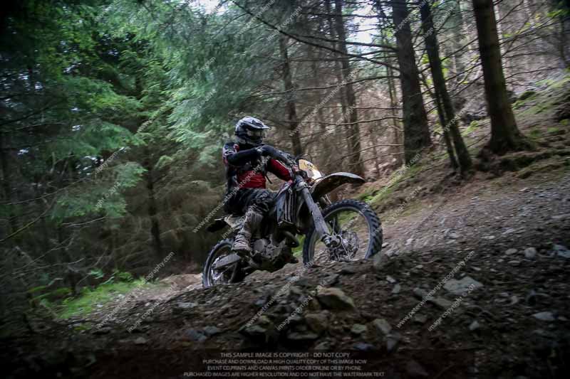 enduro digital images;enduro photos;eventdigitalimages;llandrindod wells;no limits trackdays;peter wileman photography;trackday digital images;wales;welsh 2 day enduro