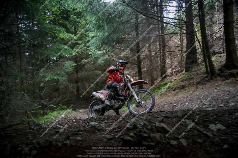 enduro digital images;enduro photos;eventdigitalimages;llandrindod wells;no limits trackdays;peter wileman photography;trackday digital images;wales;welsh 2 day enduro