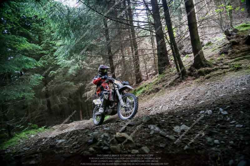 enduro digital images;enduro photos;eventdigitalimages;llandrindod wells;no limits trackdays;peter wileman photography;trackday digital images;wales;welsh 2 day enduro