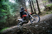 enduro-digital-images;enduro-photos;eventdigitalimages;llandrindod-wells;no-limits-trackdays;peter-wileman-photography;trackday-digital-images;wales;welsh-2-day-enduro