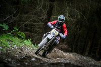 enduro-digital-images;enduro-photos;eventdigitalimages;llandrindod-wells;no-limits-trackdays;peter-wileman-photography;trackday-digital-images;wales;welsh-2-day-enduro