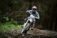 enduro-digital-images;enduro-photos;eventdigitalimages;llandrindod-wells;no-limits-trackdays;peter-wileman-photography;trackday-digital-images;wales;welsh-2-day-enduro