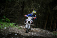 enduro-digital-images;enduro-photos;eventdigitalimages;llandrindod-wells;no-limits-trackdays;peter-wileman-photography;trackday-digital-images;wales;welsh-2-day-enduro