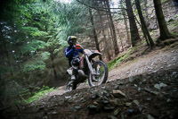 enduro-digital-images;enduro-photos;eventdigitalimages;llandrindod-wells;no-limits-trackdays;peter-wileman-photography;trackday-digital-images;wales;welsh-2-day-enduro