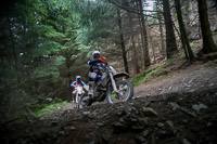 enduro-digital-images;enduro-photos;eventdigitalimages;llandrindod-wells;no-limits-trackdays;peter-wileman-photography;trackday-digital-images;wales;welsh-2-day-enduro