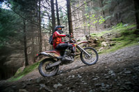 enduro-digital-images;enduro-photos;eventdigitalimages;llandrindod-wells;no-limits-trackdays;peter-wileman-photography;trackday-digital-images;wales;welsh-2-day-enduro