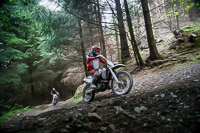 enduro-digital-images;enduro-photos;eventdigitalimages;llandrindod-wells;no-limits-trackdays;peter-wileman-photography;trackday-digital-images;wales;welsh-2-day-enduro