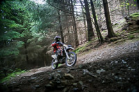 enduro-digital-images;enduro-photos;eventdigitalimages;llandrindod-wells;no-limits-trackdays;peter-wileman-photography;trackday-digital-images;wales;welsh-2-day-enduro