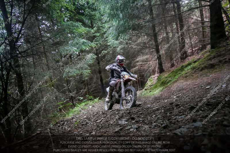 enduro digital images;enduro photos;eventdigitalimages;llandrindod wells;no limits trackdays;peter wileman photography;trackday digital images;wales;welsh 2 day enduro