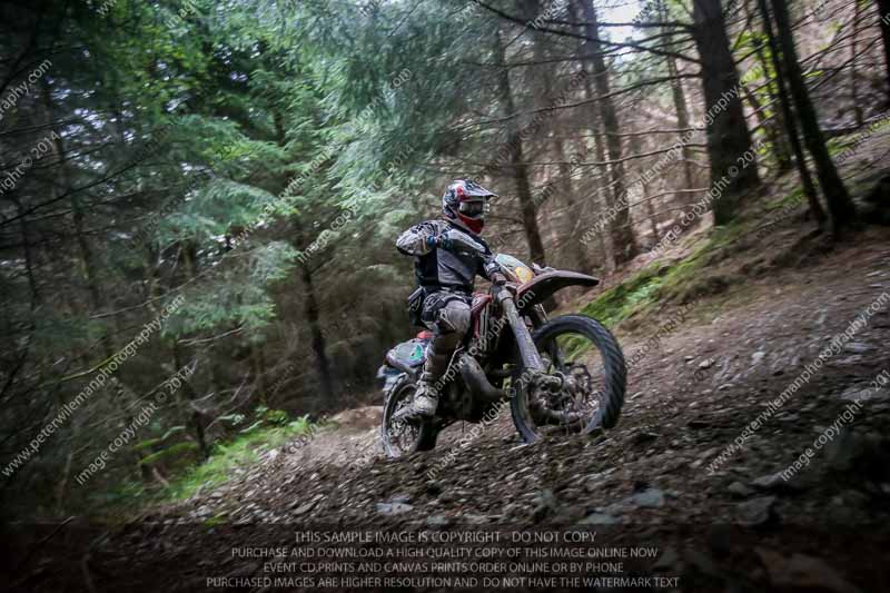 enduro digital images;enduro photos;eventdigitalimages;llandrindod wells;no limits trackdays;peter wileman photography;trackday digital images;wales;welsh 2 day enduro