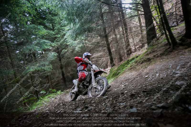 enduro digital images;enduro photos;eventdigitalimages;llandrindod wells;no limits trackdays;peter wileman photography;trackday digital images;wales;welsh 2 day enduro