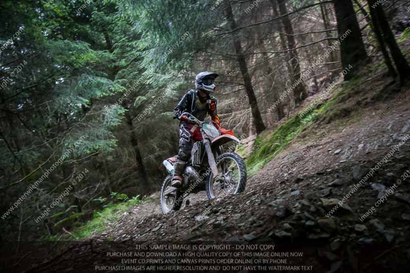 enduro digital images;enduro photos;eventdigitalimages;llandrindod wells;no limits trackdays;peter wileman photography;trackday digital images;wales;welsh 2 day enduro