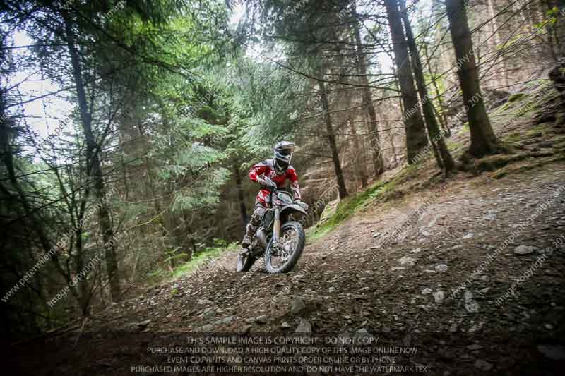 enduro digital images;enduro photos;eventdigitalimages;llandrindod wells;no limits trackdays;peter wileman photography;trackday digital images;wales;welsh 2 day enduro