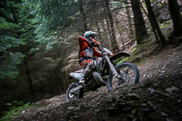 enduro-digital-images;enduro-photos;eventdigitalimages;llandrindod-wells;no-limits-trackdays;peter-wileman-photography;trackday-digital-images;wales;welsh-2-day-enduro