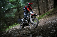 enduro-digital-images;enduro-photos;eventdigitalimages;llandrindod-wells;no-limits-trackdays;peter-wileman-photography;trackday-digital-images;wales;welsh-2-day-enduro