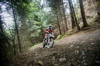 enduro-digital-images;enduro-photos;eventdigitalimages;llandrindod-wells;no-limits-trackdays;peter-wileman-photography;trackday-digital-images;wales;welsh-2-day-enduro