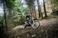 enduro-digital-images;enduro-photos;eventdigitalimages;llandrindod-wells;no-limits-trackdays;peter-wileman-photography;trackday-digital-images;wales;welsh-2-day-enduro