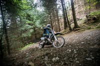 enduro-digital-images;enduro-photos;eventdigitalimages;llandrindod-wells;no-limits-trackdays;peter-wileman-photography;trackday-digital-images;wales;welsh-2-day-enduro