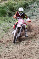 enduro-digital-images;enduro-photos;eventdigitalimages;llandrindod-wells;no-limits-trackdays;peter-wileman-photography;trackday-digital-images;wales;welsh-2-day-enduro