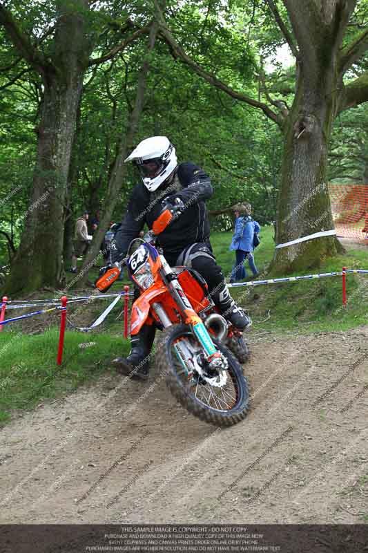 enduro digital images;enduro photos;eventdigitalimages;llandrindod wells;no limits trackdays;peter wileman photography;trackday digital images;wales;welsh 2 day enduro