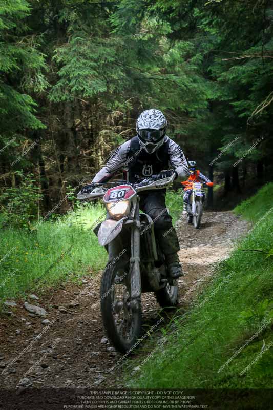 enduro digital images;enduro photos;eventdigitalimages;llandrindod wells;no limits trackdays;peter wileman photography;trackday digital images;wales;welsh 2 day enduro