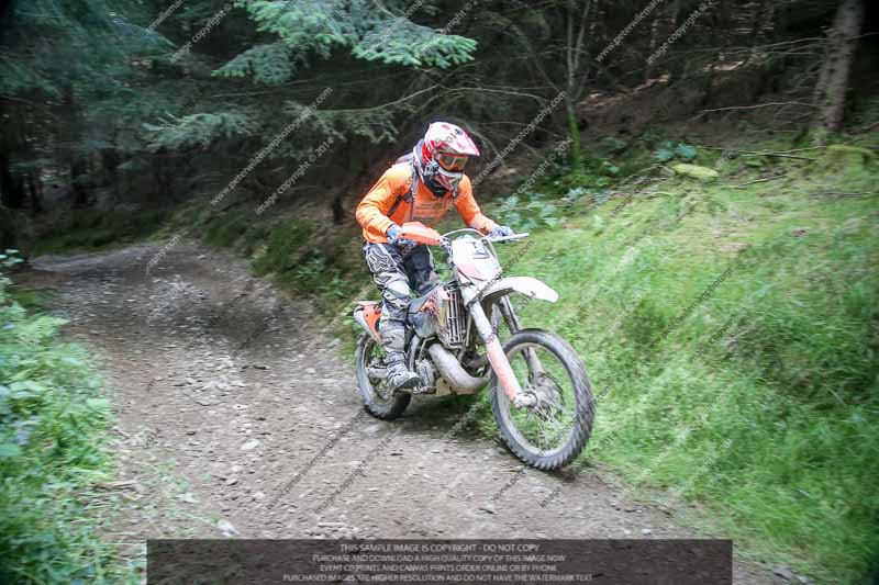 enduro digital images;enduro photos;eventdigitalimages;llandrindod wells;no limits trackdays;peter wileman photography;trackday digital images;wales;welsh 2 day enduro