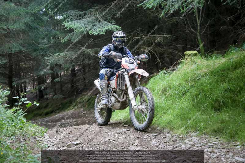 enduro digital images;enduro photos;eventdigitalimages;llandrindod wells;no limits trackdays;peter wileman photography;trackday digital images;wales;welsh 2 day enduro