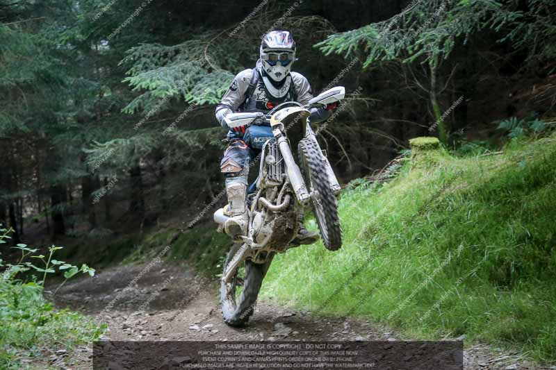 enduro digital images;enduro photos;eventdigitalimages;llandrindod wells;no limits trackdays;peter wileman photography;trackday digital images;wales;welsh 2 day enduro