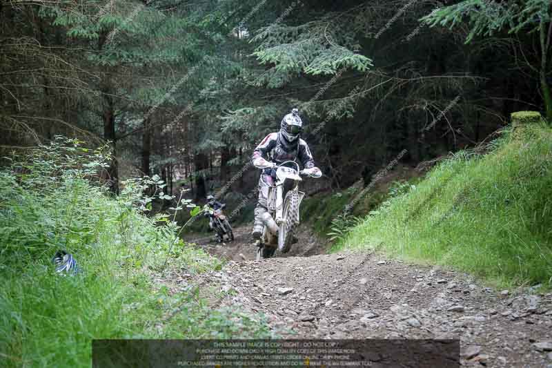 enduro digital images;enduro photos;eventdigitalimages;llandrindod wells;no limits trackdays;peter wileman photography;trackday digital images;wales;welsh 2 day enduro