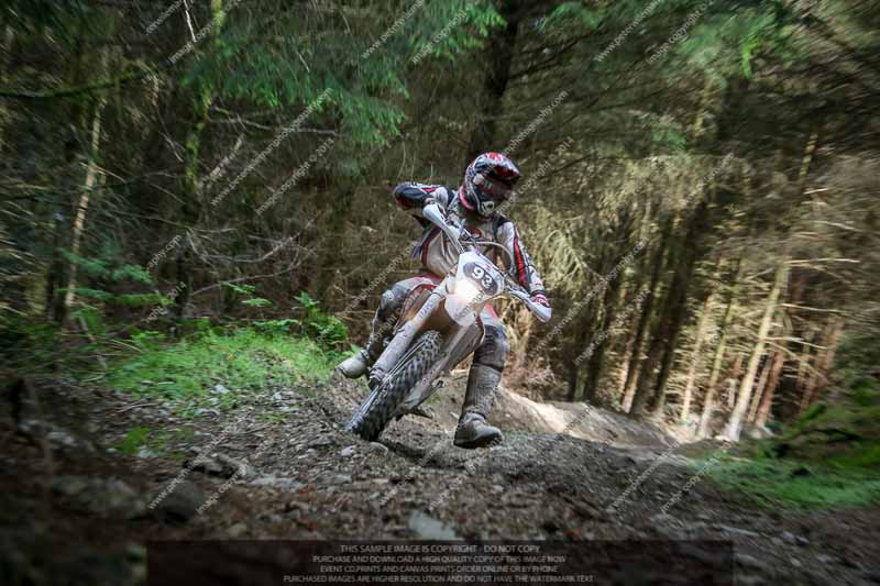 enduro digital images;enduro photos;eventdigitalimages;llandrindod wells;no limits trackdays;peter wileman photography;trackday digital images;wales;welsh 2 day enduro