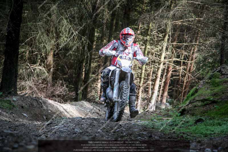 enduro digital images;enduro photos;eventdigitalimages;llandrindod wells;no limits trackdays;peter wileman photography;trackday digital images;wales;welsh 2 day enduro