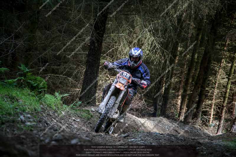 enduro digital images;enduro photos;eventdigitalimages;llandrindod wells;no limits trackdays;peter wileman photography;trackday digital images;wales;welsh 2 day enduro