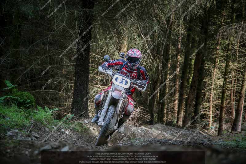 enduro digital images;enduro photos;eventdigitalimages;llandrindod wells;no limits trackdays;peter wileman photography;trackday digital images;wales;welsh 2 day enduro