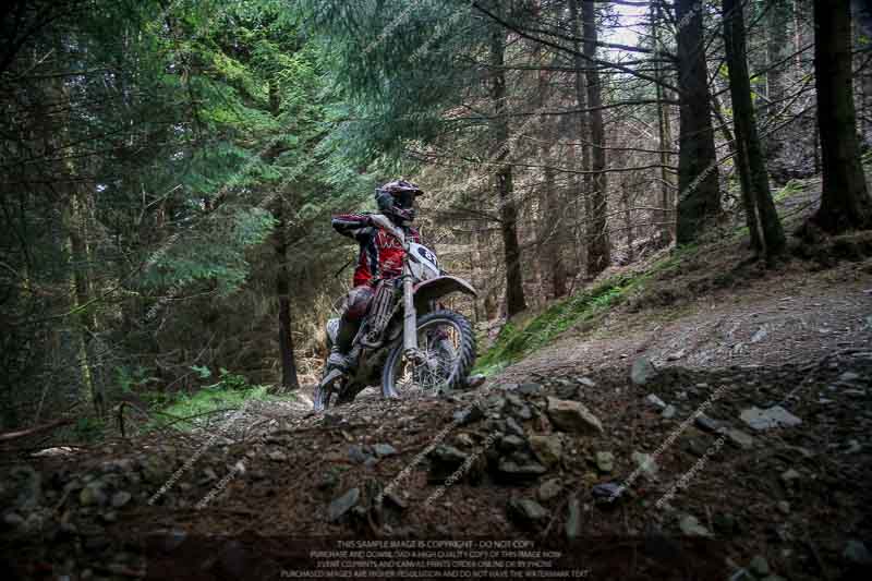 enduro digital images;enduro photos;eventdigitalimages;llandrindod wells;no limits trackdays;peter wileman photography;trackday digital images;wales;welsh 2 day enduro