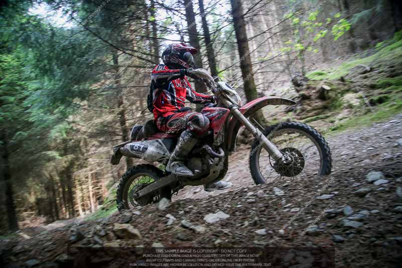 enduro digital images;enduro photos;eventdigitalimages;llandrindod wells;no limits trackdays;peter wileman photography;trackday digital images;wales;welsh 2 day enduro