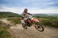 enduro-digital-images;enduro-photos;eventdigitalimages;llandrindod-wells;no-limits-trackdays;peter-wileman-photography;trackday-digital-images;wales;welsh-2-day-enduro