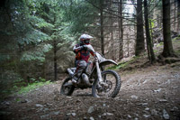 enduro-digital-images;enduro-photos;eventdigitalimages;llandrindod-wells;no-limits-trackdays;peter-wileman-photography;trackday-digital-images;wales;welsh-2-day-enduro