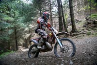 enduro-digital-images;enduro-photos;eventdigitalimages;llandrindod-wells;no-limits-trackdays;peter-wileman-photography;trackday-digital-images;wales;welsh-2-day-enduro