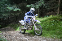 enduro-digital-images;enduro-photos;eventdigitalimages;llandrindod-wells;no-limits-trackdays;peter-wileman-photography;trackday-digital-images;wales;welsh-2-day-enduro