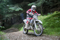 enduro-digital-images;enduro-photos;eventdigitalimages;llandrindod-wells;no-limits-trackdays;peter-wileman-photography;trackday-digital-images;wales;welsh-2-day-enduro